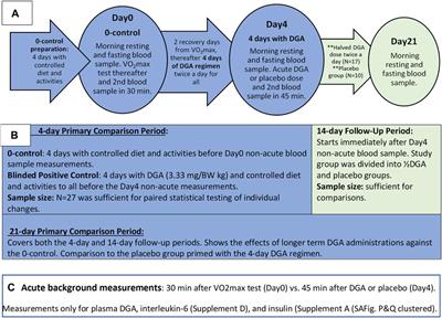 Randomized Trial: D-Glyceric Acid Activates Mitochondrial Metabolism in 50–60-Year-Old Healthy Humans